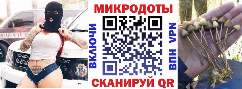 Купить  Богданович  Галлюциногенные грибы Cubensis 