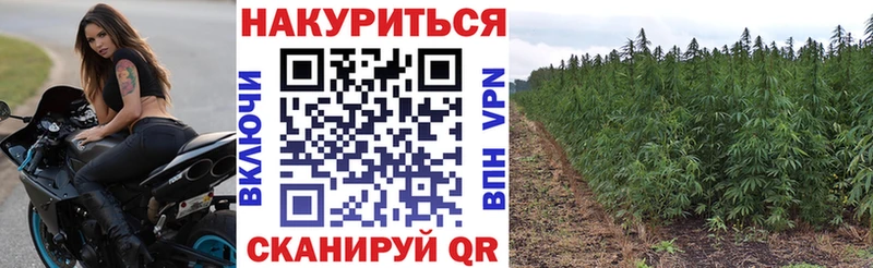 Купить  Богданович  Марихуана конопля 